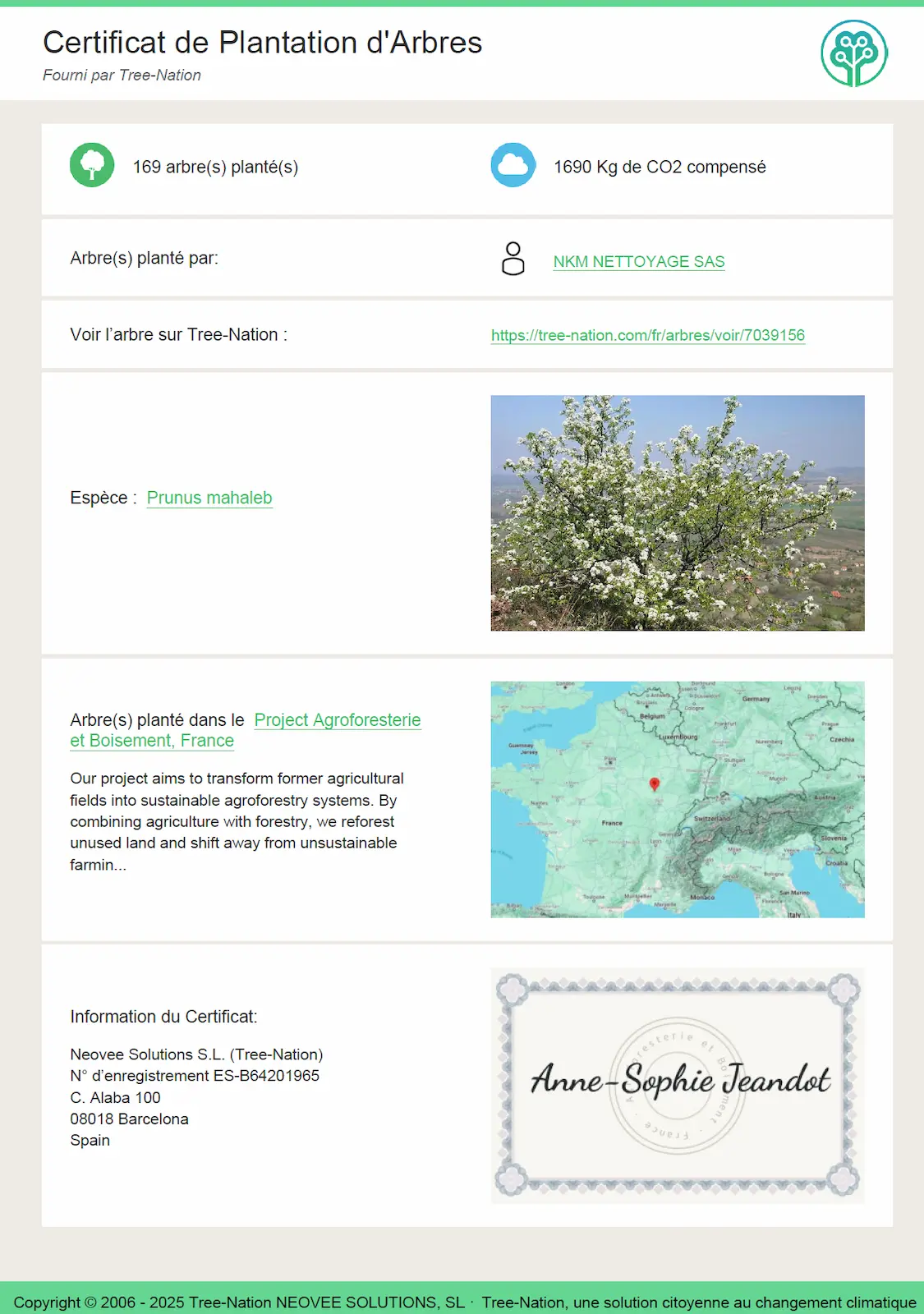 NKM Nettoyage - Certificat Tree Nation - 2024 NKM Nettoyage - Certificat Tree Nation - 2024